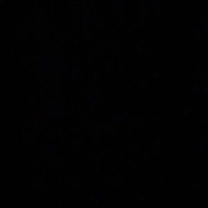 Meet your Posher, Werner